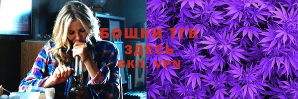ПСИЛОЦИБИНОВЫЕ ГРИБЫ Осташков