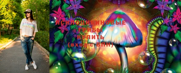ешки Елизово