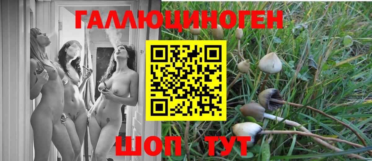 Псилоцибиновые грибы мухоморы  Вход с VPN  Галлюциногенные грибы MAGIC MUSHROOMS  Реж 