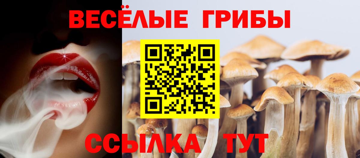 Галлюциногенные грибы GOLDEN TEACHER Реж